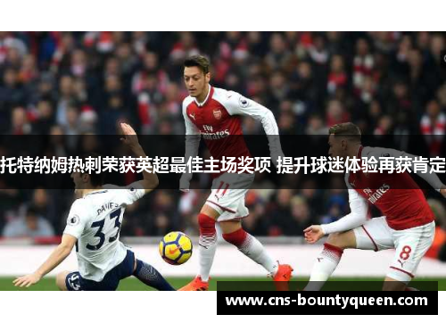 托特纳姆热刺荣获英超最佳主场奖项 提升球迷体验再获肯定